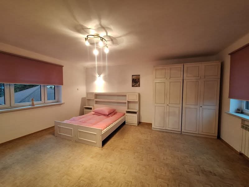 Czaniec idealny pod działalność i mieszkanie